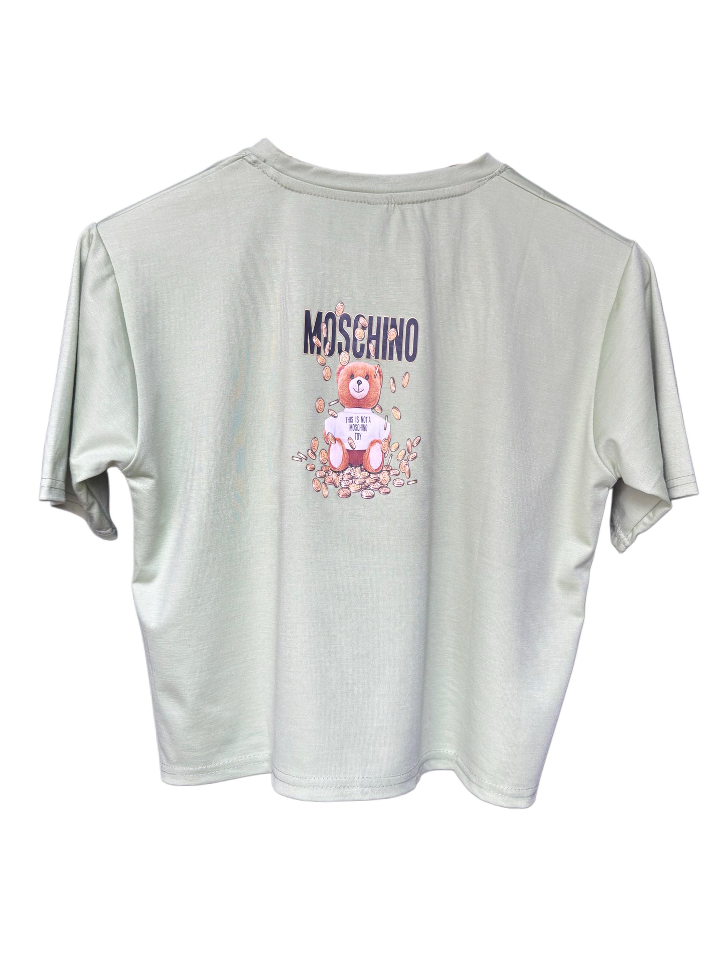 Women's Sea Green Color Teddy Printed T-shirt – Regular Fit