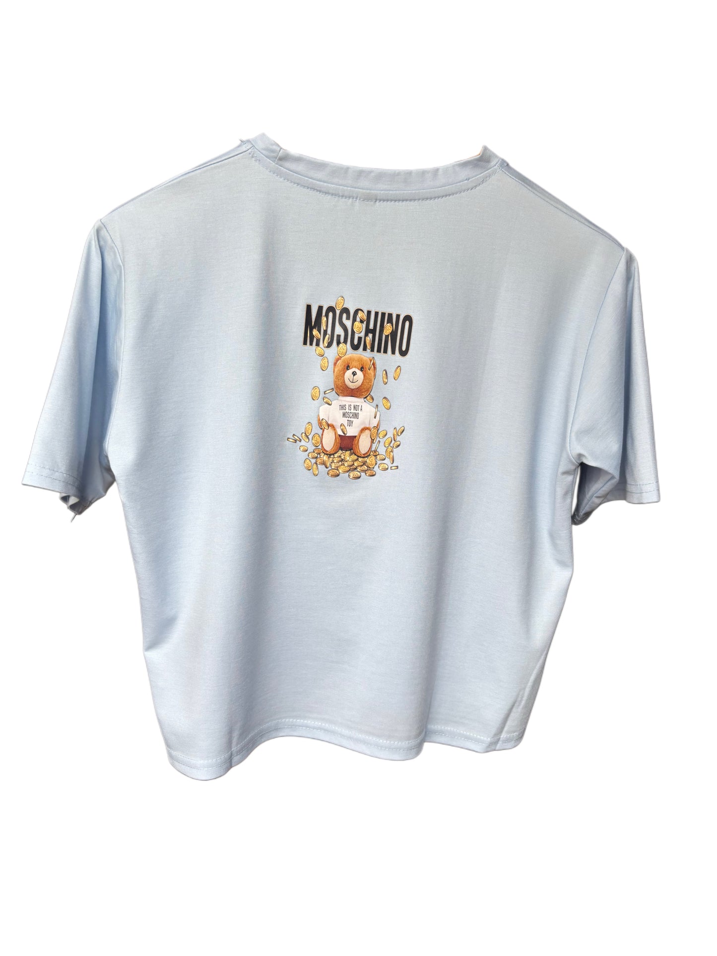 Women's Sky Blue Color Teddy Printed T-shirt – Regular Fit