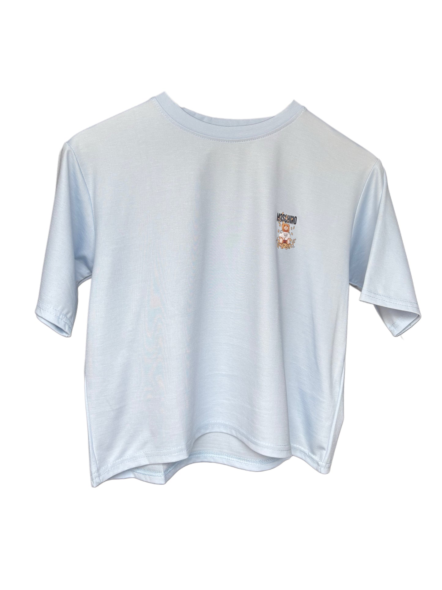 Women's Sky Blue Color Teddy Printed T-shirt – Regular Fit