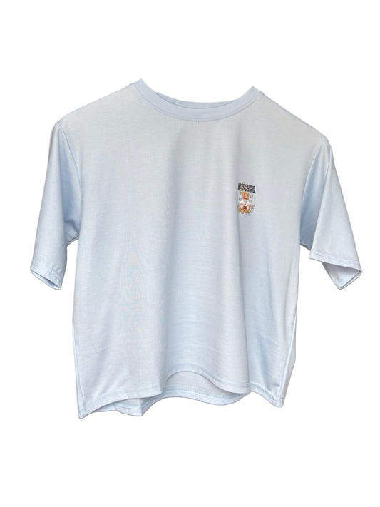 Women's Sky Blue Color Teddy Printed T-shirt – Regular Fit